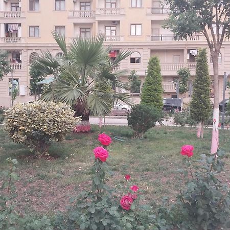 Banu House Διαμέρισμα Sumqayıt Εξωτερικό φωτογραφία