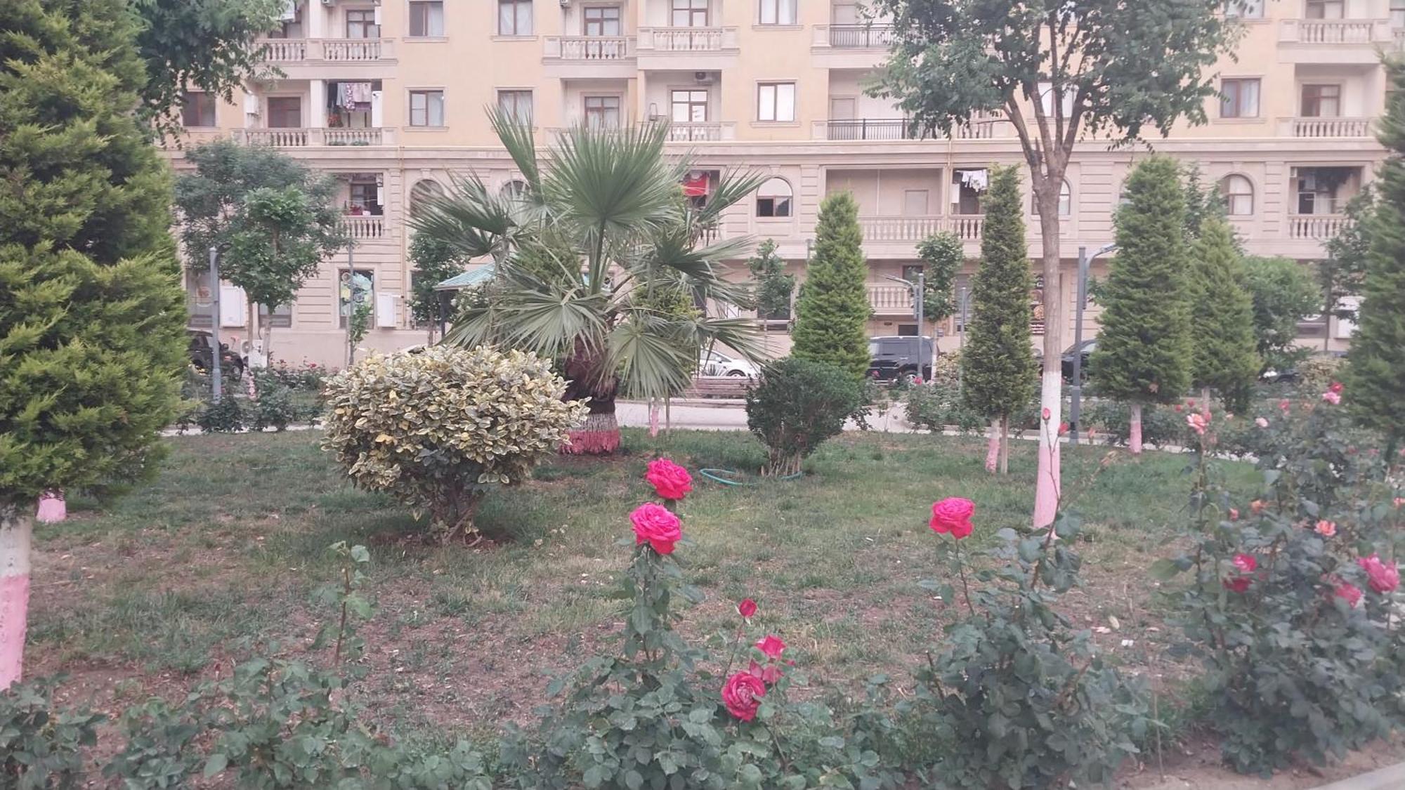 Banu House Διαμέρισμα Sumqayıt Εξωτερικό φωτογραφία