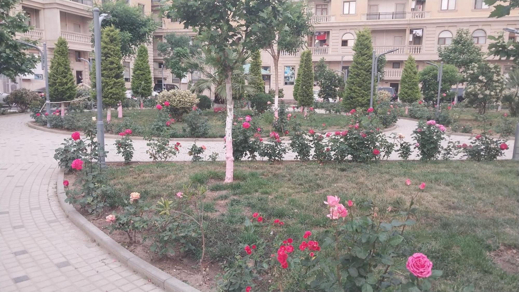 Banu House Διαμέρισμα Sumqayıt Εξωτερικό φωτογραφία